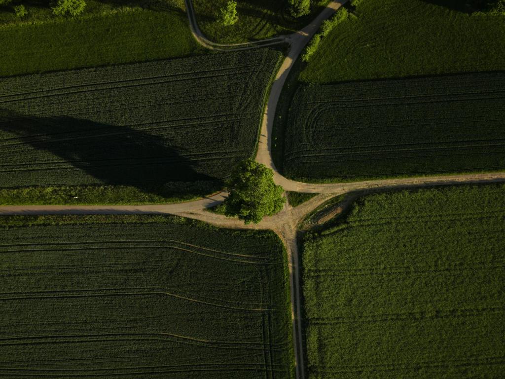 Government Software at the&nbsp;Crossroads